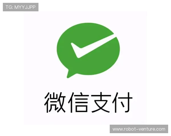 瑞博体育平台支付方式详解：多样化的充值与提现渠道方便快捷