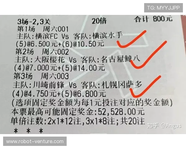 专业分析十大足彩外围平台的优势与不足，助你选择最适合自己的足彩外围平台提升投注体验与中奖几率